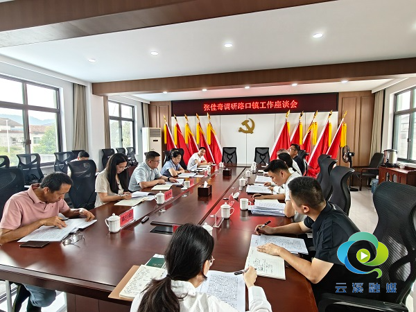 调研路口镇.jpg 调研路口镇.jpg
