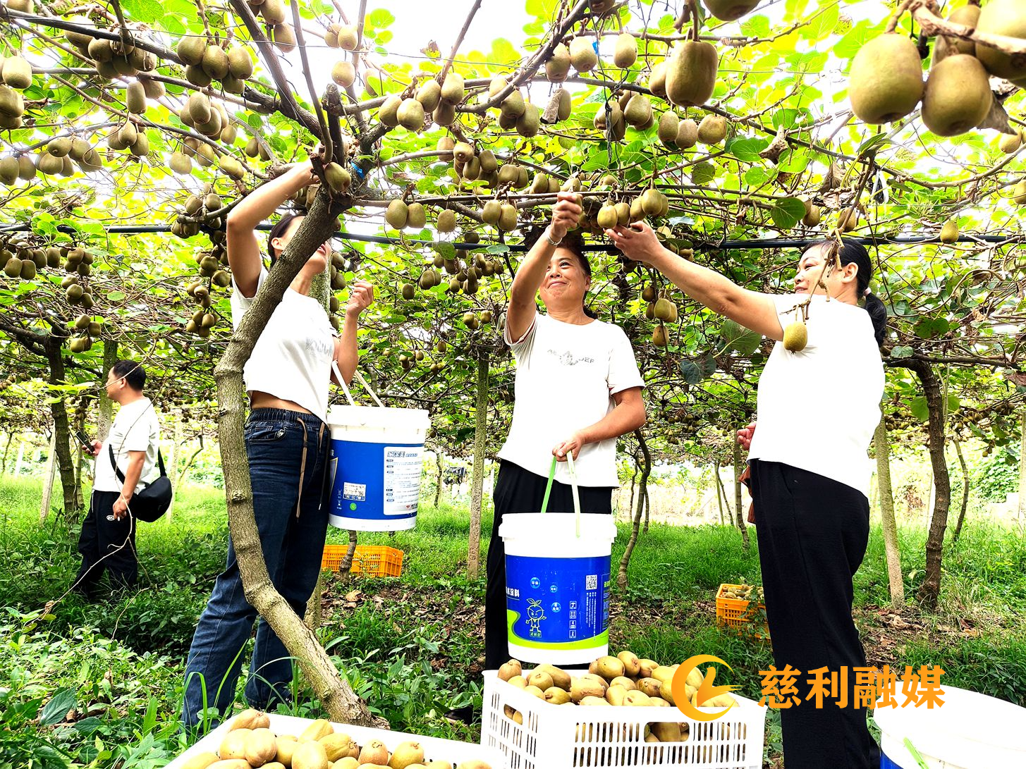 微信图片_20260921111019_214_44.jpg