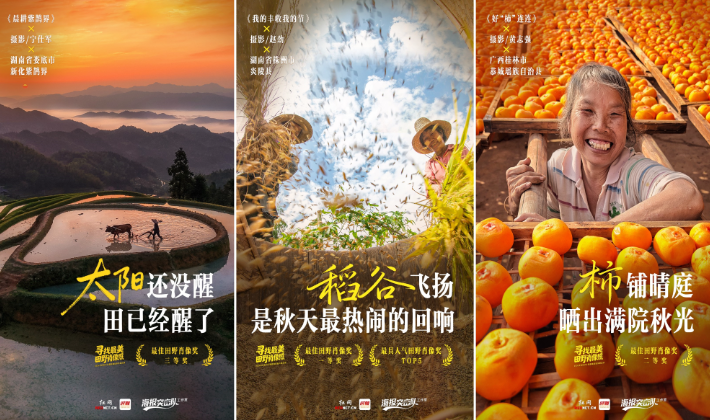 四季躬耕，礼赞丰收 | “寻找最美田野肖像照”丰收节特辑