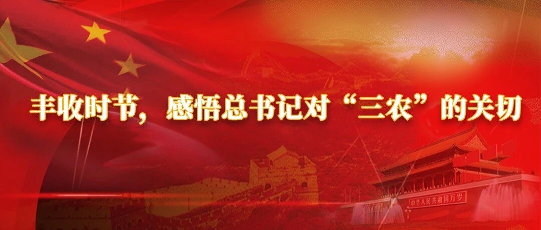 学习笔记 | 丰收时节，感悟总书记对“三农”的关切