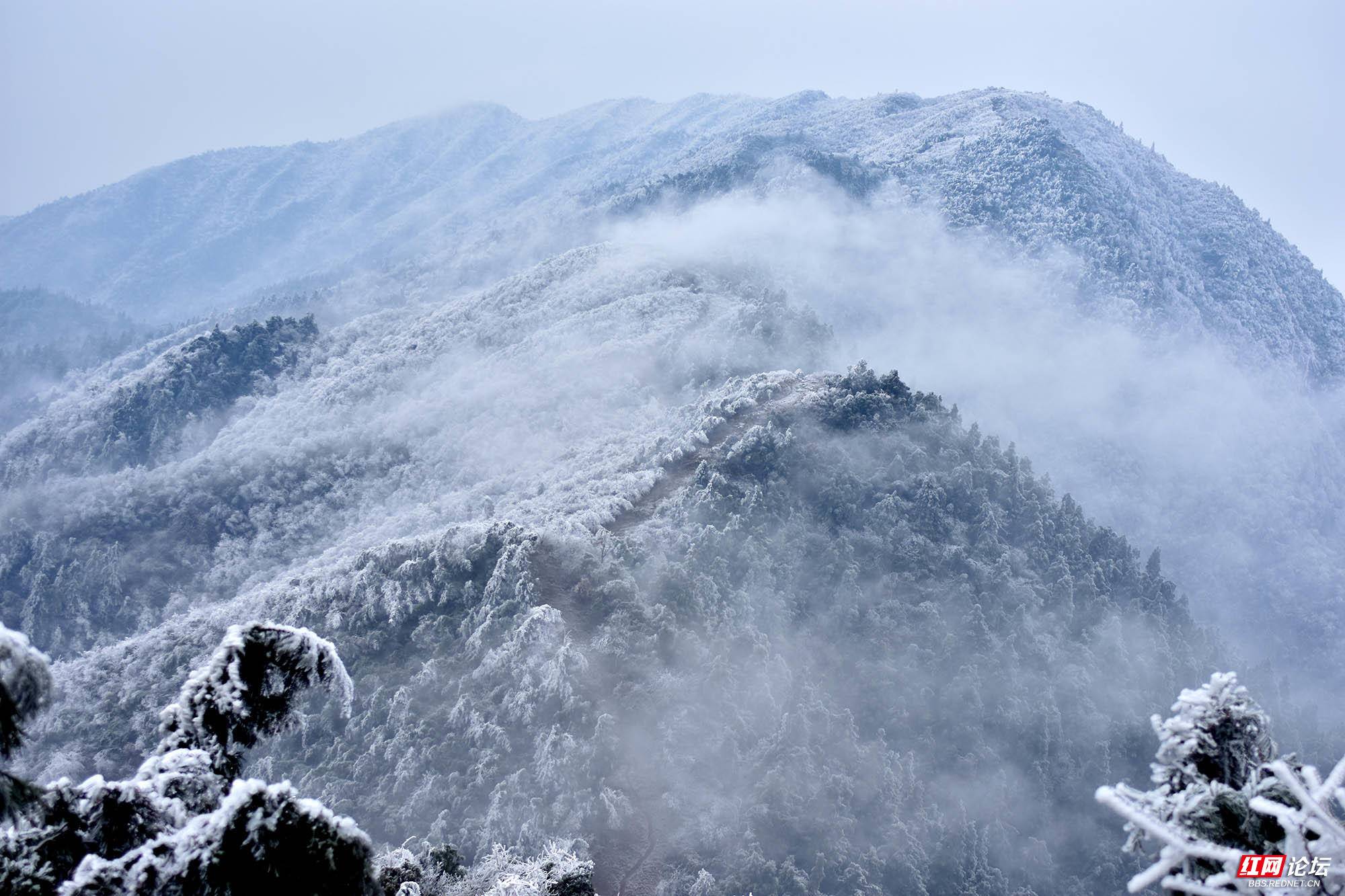 随笔丨万汝青：澡雪精神与历史上的三场雪