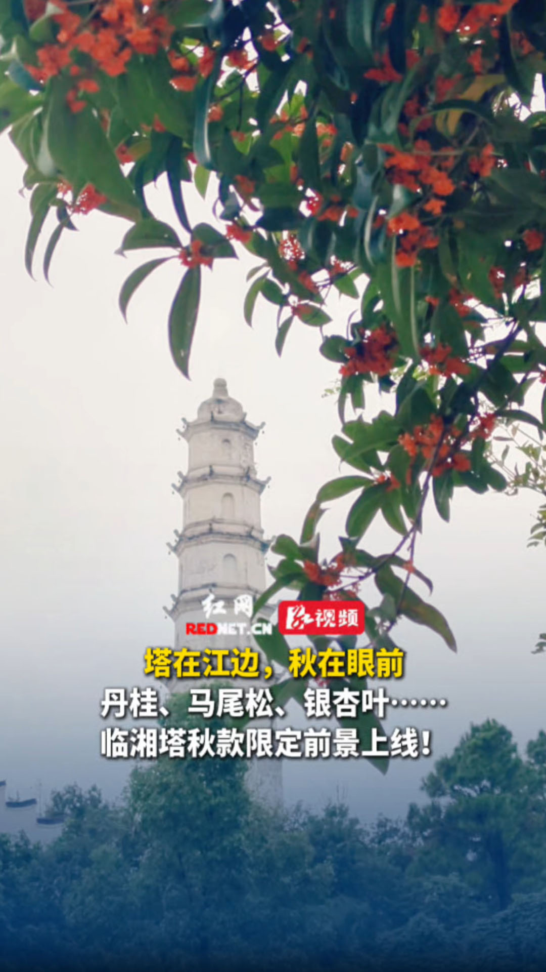 江湖有信˙临湘有约⑥