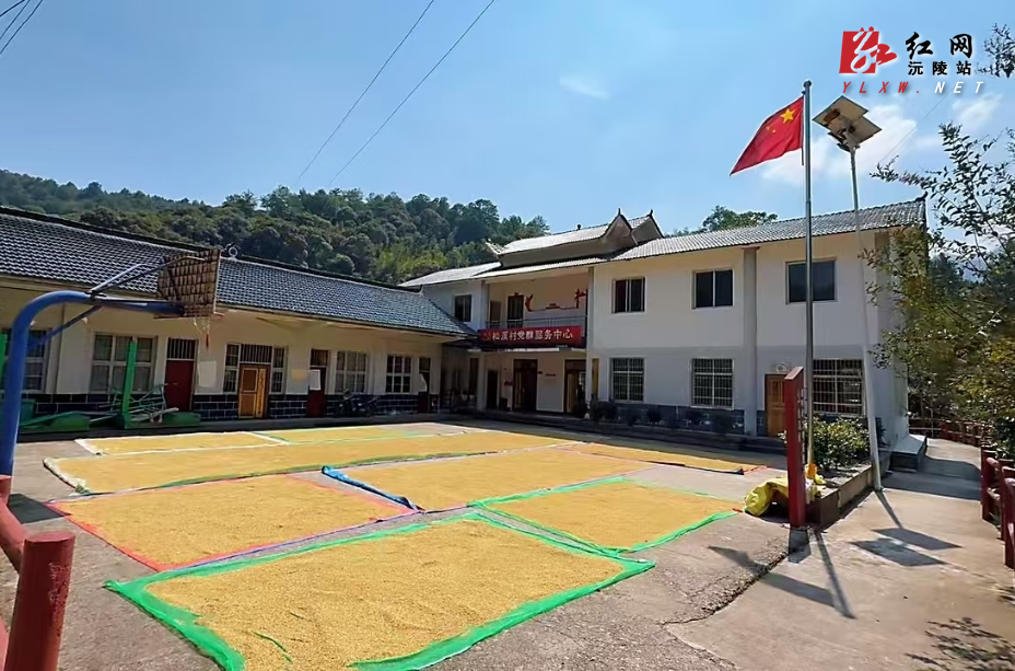 图片1.jpg 图片1.jpg