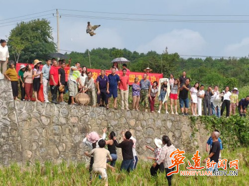 宁远县水市镇:农趣盛会喜迎双节_副本500.jpg 宁远县水市镇:农趣盛会喜迎双节_副本500.jpg