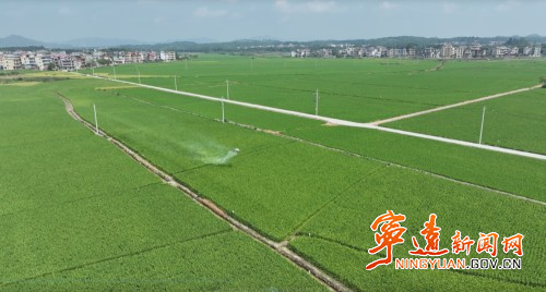 【永冲锋·拼经济·促发展】宁远:抓实秋粮抗逆防灾 护航晚稻稳产丰收1_副本500.jpg 【永冲锋·拼经济·促发展】宁远:抓实秋粮抗逆防灾 护航晚稻稳产丰收1_副本500.jpg