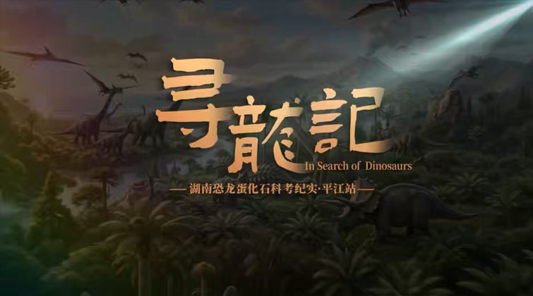 寻龙记 | 湖南恐龙蛋化石科考纪实・平江站