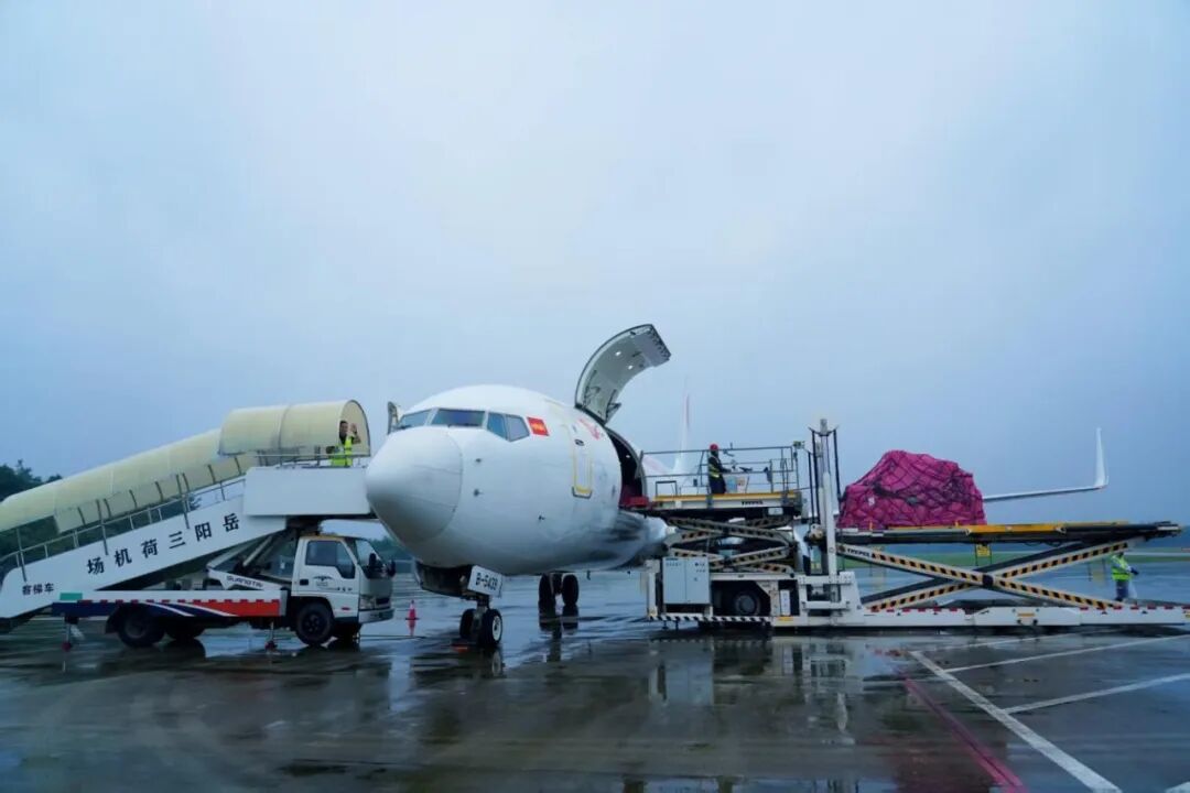 图片 图片