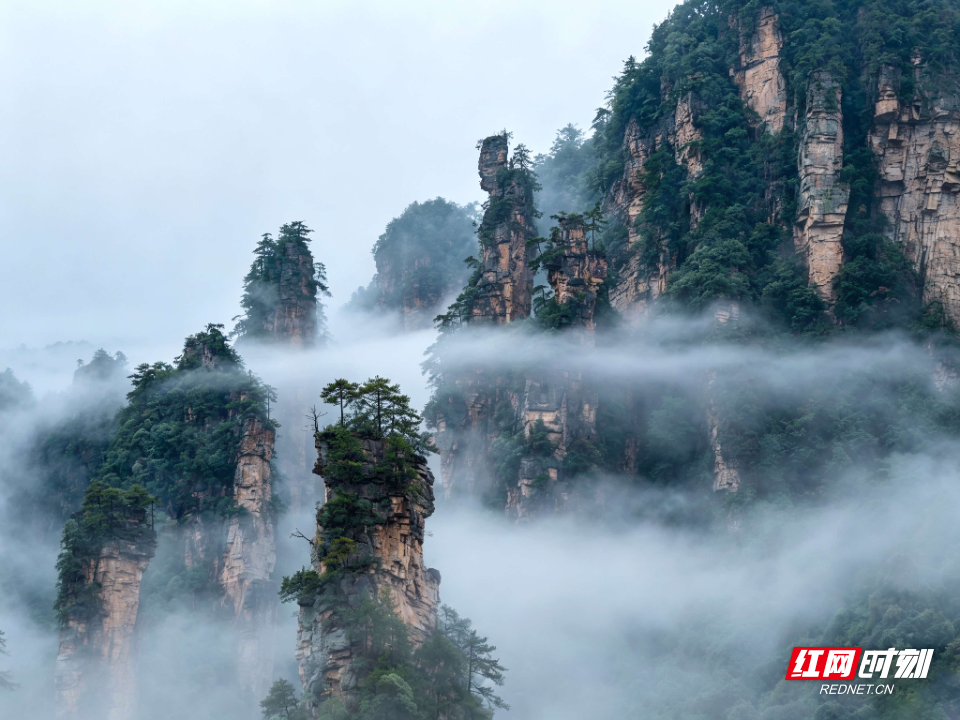 国庆游张家界｜云雾漫卷三千峰 张家界以仙境盛景喜迎国庆