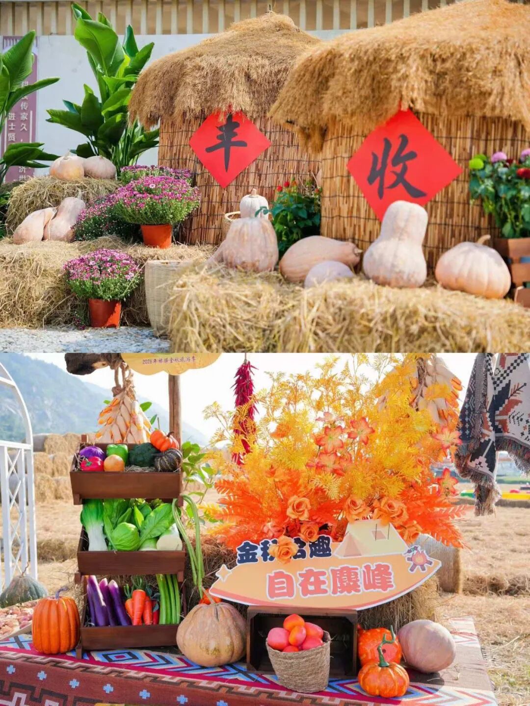 图片 图片