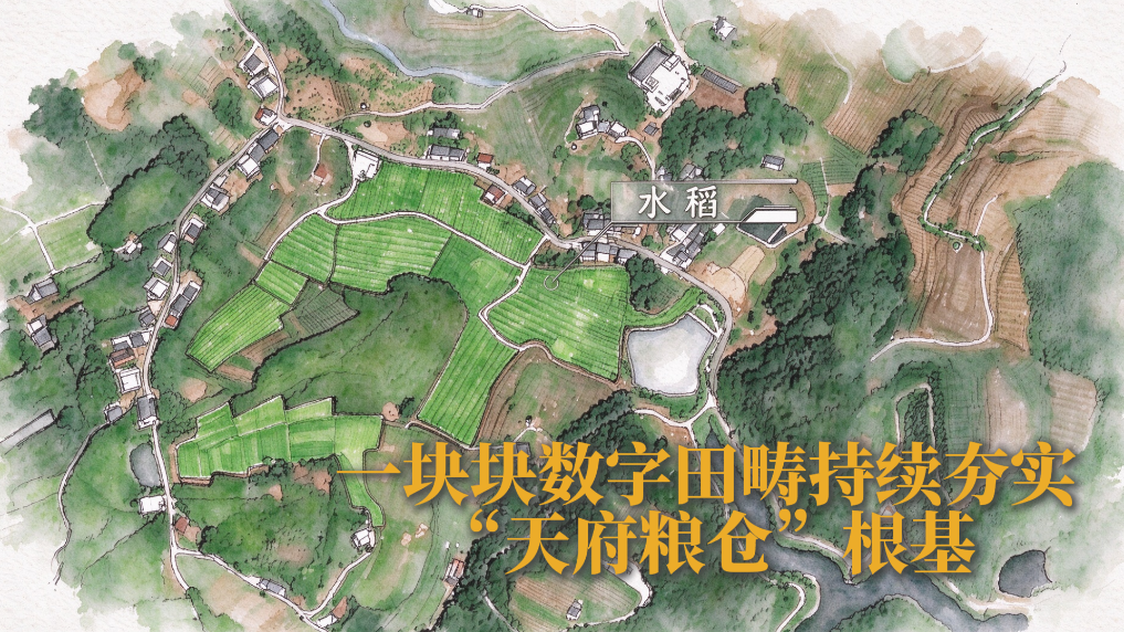 十月沃野·大地华章丨数字田畴里的兴农“策”