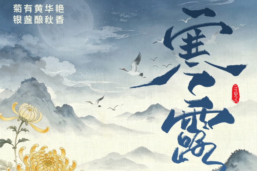 湘见万年・时序藏珍丨寒露：菊有黄华艳，银盏酿秋香