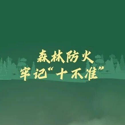 森林防火无小事，别让森林“火”起来