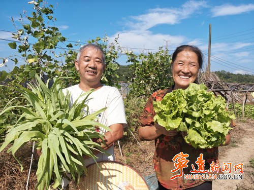 宁远:“蔬”绘丰收画卷2_副本500.jpg 宁远:“蔬”绘丰收画卷2_副本500.jpg