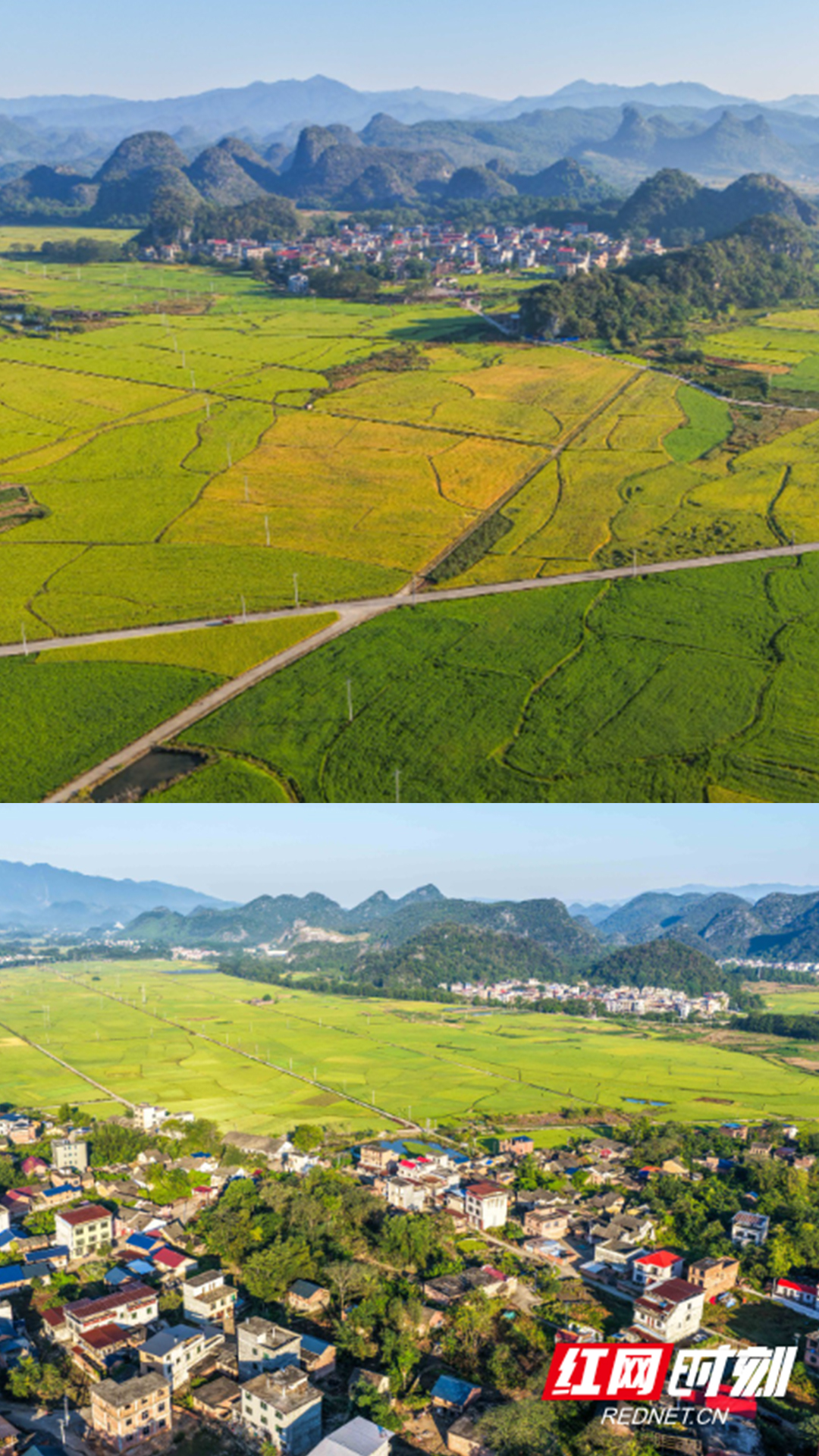 湖南道县：秋染田园