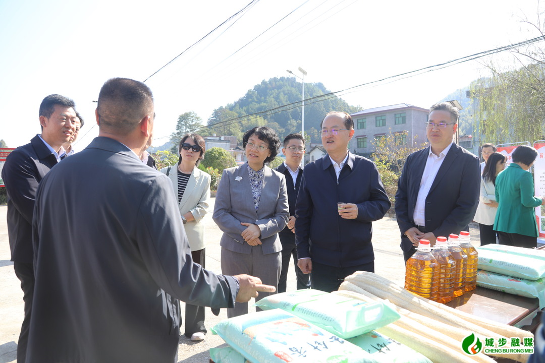 商务部副部长鄢东到城步调研定点帮扶工作(图2)