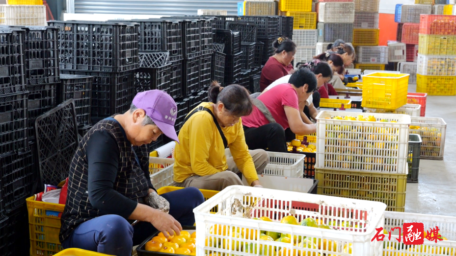 盘活闲置沉睡资产 拓宽乡村富民增收路5.png 盘活闲置沉睡资产 拓宽乡村富民增收路5.png