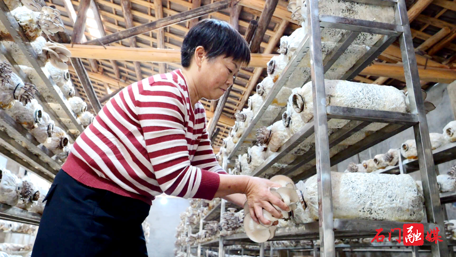 盘活闲置沉睡资产 拓宽乡村富民增收路7.png 盘活闲置沉睡资产 拓宽乡村富民增收路7.png