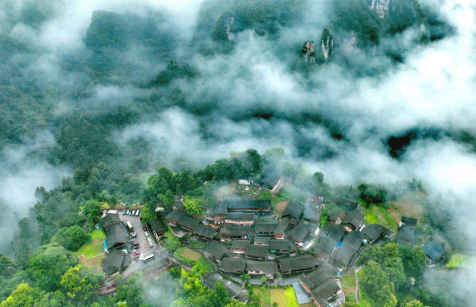 生态文学丨肖远湘：青山出碳票，林海生金钱
