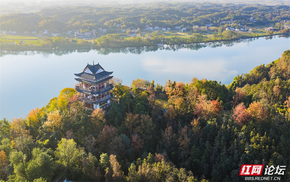 秋染武陵，一亭风月：常德桃花源秋景上线