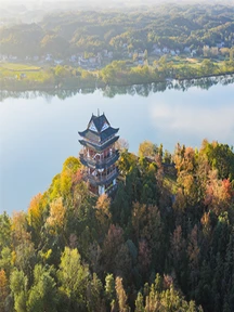 秋景