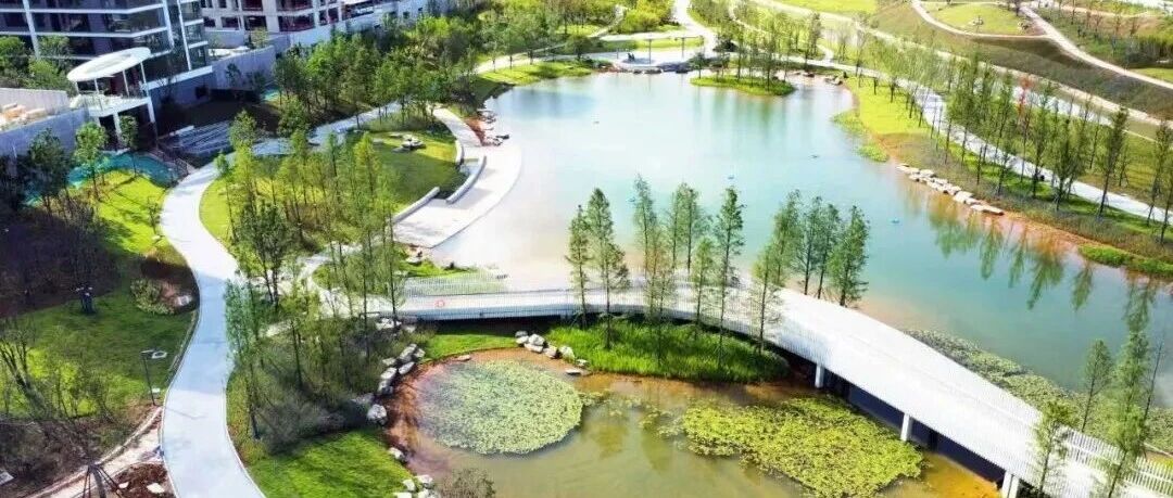 长沙新增一个生态公园！看看在你家门口吗？