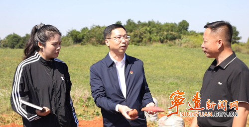 宁远:激活乡村产业新动能_副本500.png 宁远:激活乡村产业新动能_副本500.png