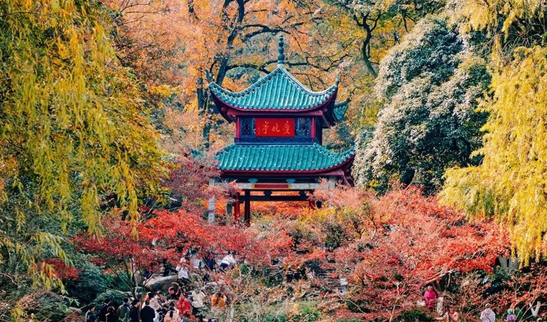别错过长沙的秋天！这10条徒步路线太美了