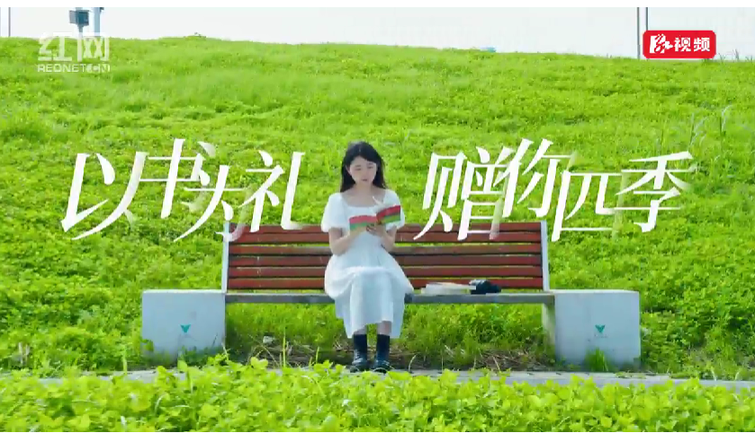 乐之AI阅读：给家一座流动的图书馆