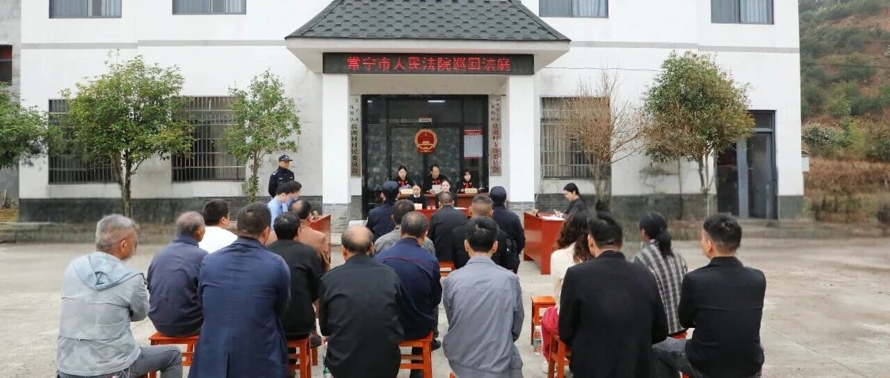 山林不是 “提款机”!常宁法院巡回审判直击非法采矿