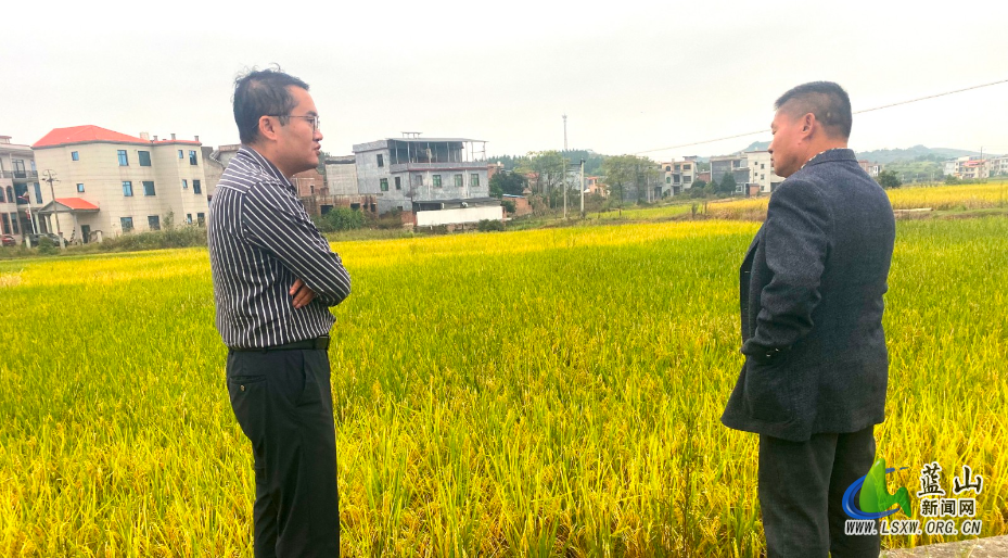 太平圩镇纪委:紧盯“高标”强监督 守好良田惠民生.jpg 太平圩镇纪委:紧盯“高标”强监督 守好良田惠民生.jpg