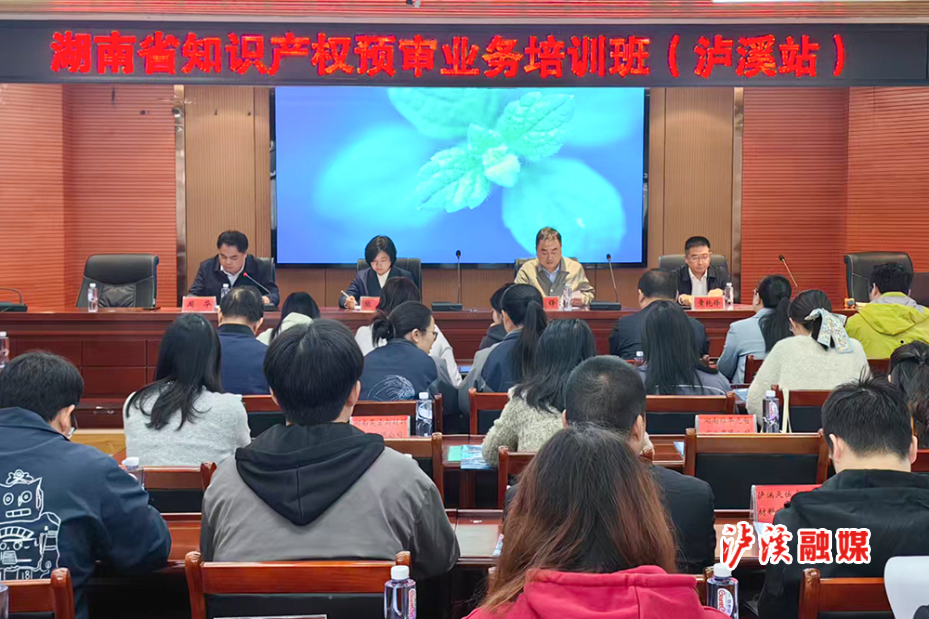 省知识产权局到泸溪.jpg