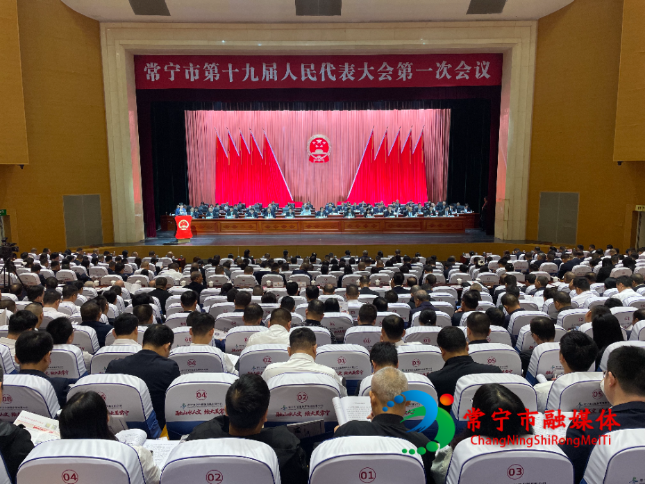 市十九届人大一次会议举行第二次全体会议.jpg