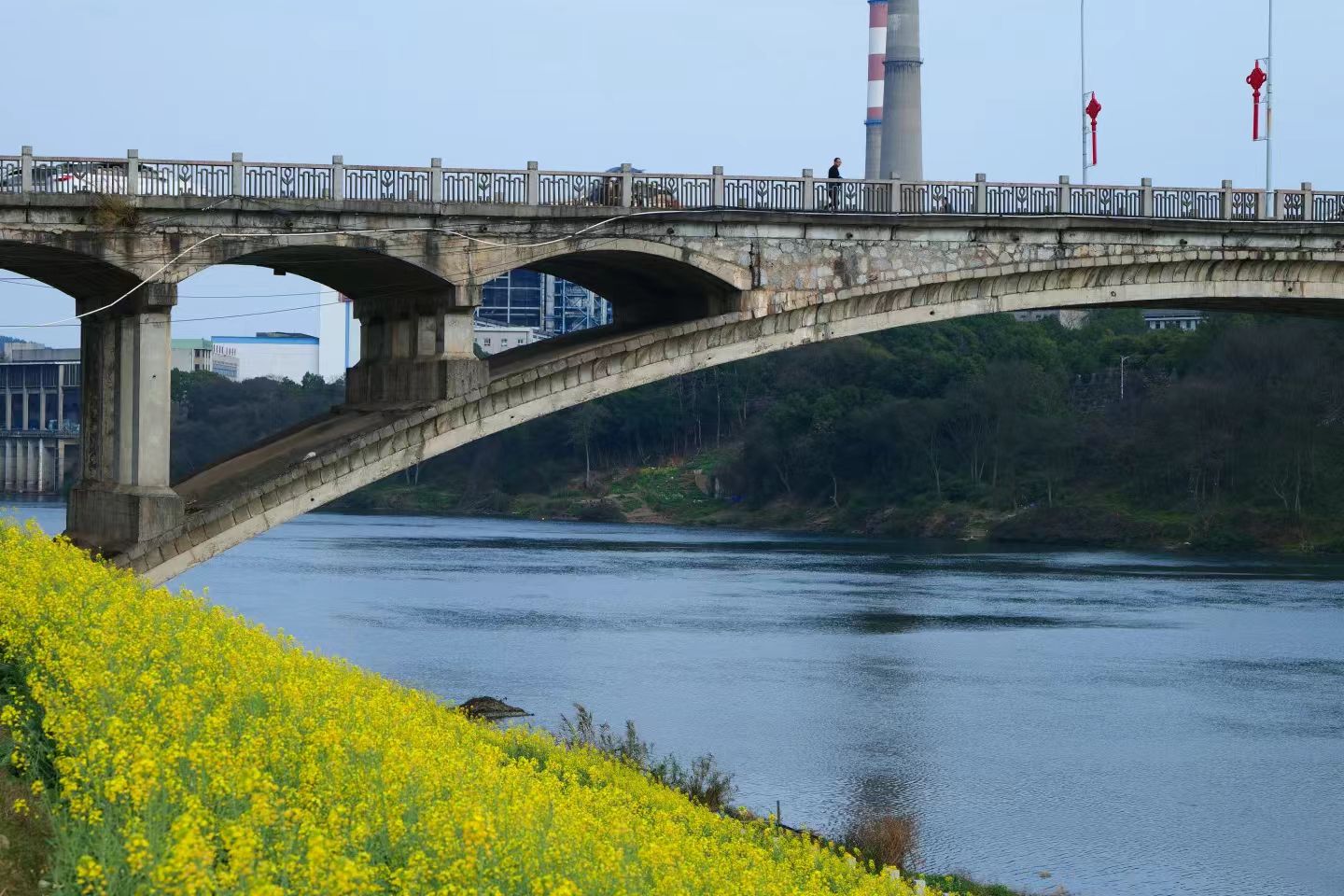 9e82c233-55a2-44c5-aa82-32548091b868.jpg