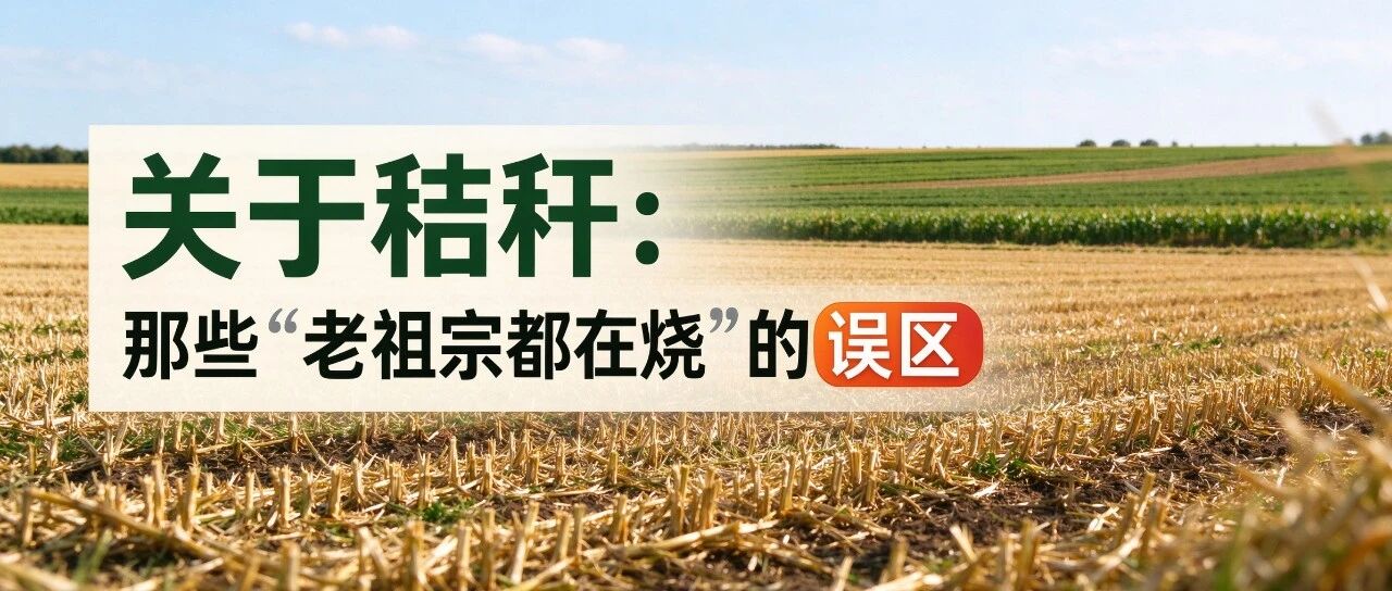 关于秸秆:那些“老祖宗都在烧”的误区