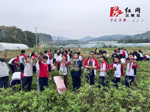 微信图片_20261028140217_104_1.jpg 微信图片_20261028140217_104_1.jpg