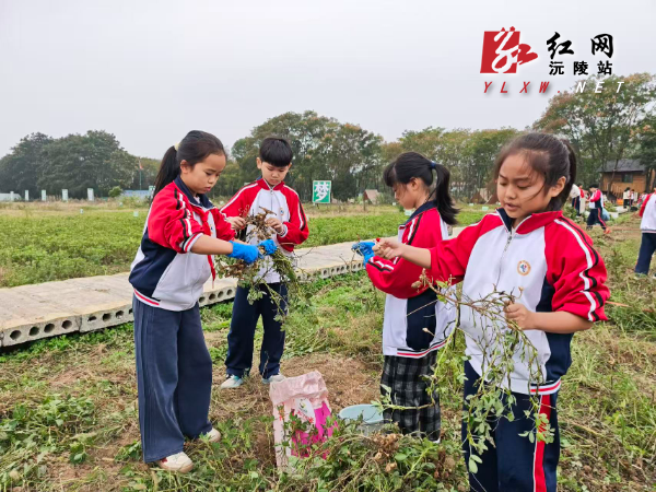 微信图片_20261028140216_103_1.jpg 微信图片_20261028140216_103_1.jpg