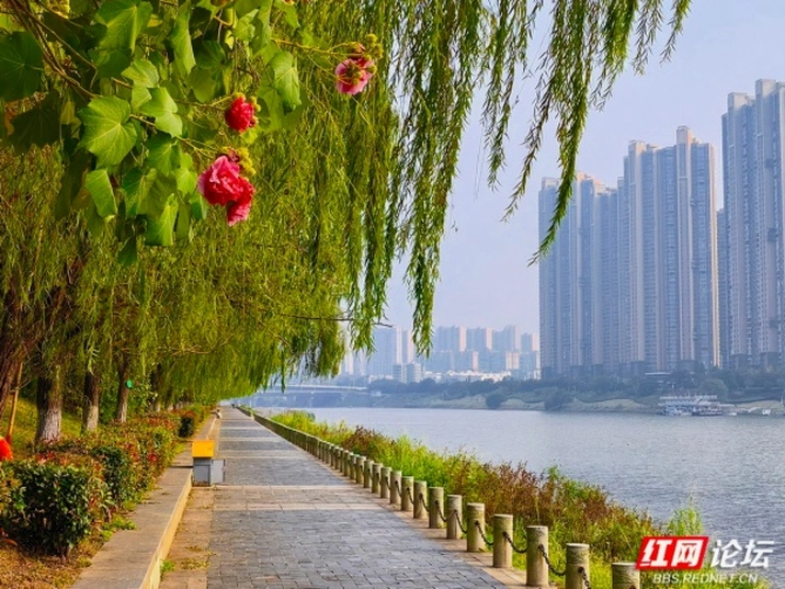 一河碧水，两岸秋光：调色盘上的浏阳河
