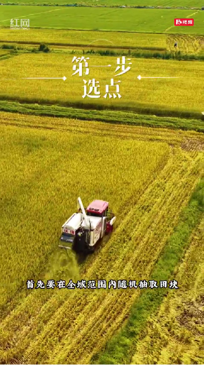 从稻田到数字
