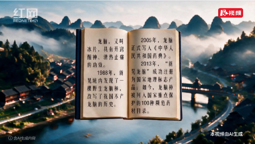 《新晃产业录》③丨香自深山来 一棵龙脑樟的新生