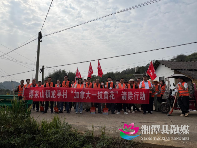 图片03.png 图片03.png