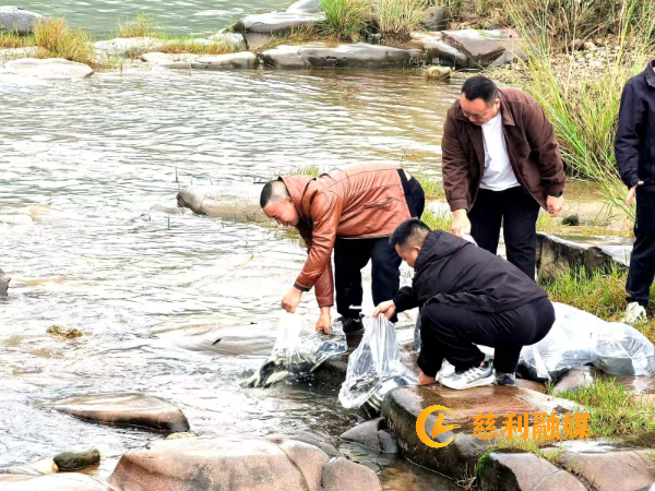 微信图片_20261031150416_1827_8.jpg 微信图片_20261031150416_1827_8.jpg