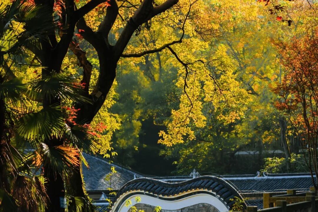 微信图片_20231121110657.jpg