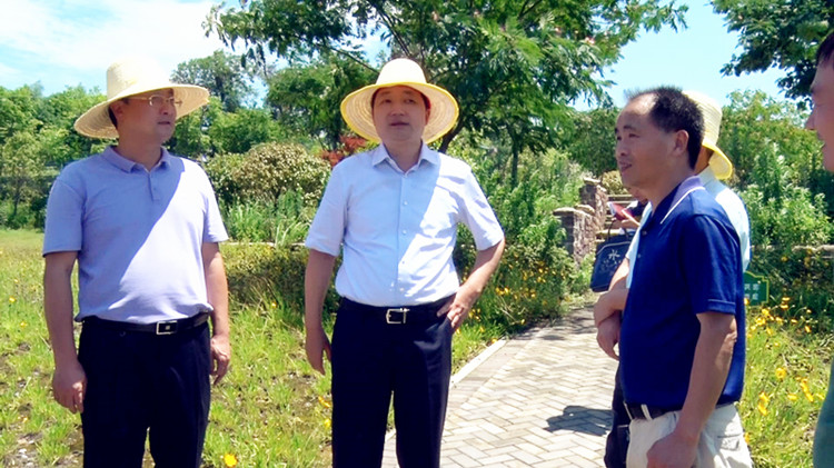 工作动态 政务要闻6月12日,郴州市委常委,常务副市长蒋锋到资兴市开展