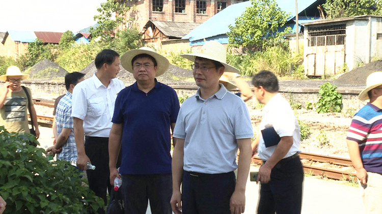 梁成谷一行在资兴检查许资线安全环境整治情况检查现
