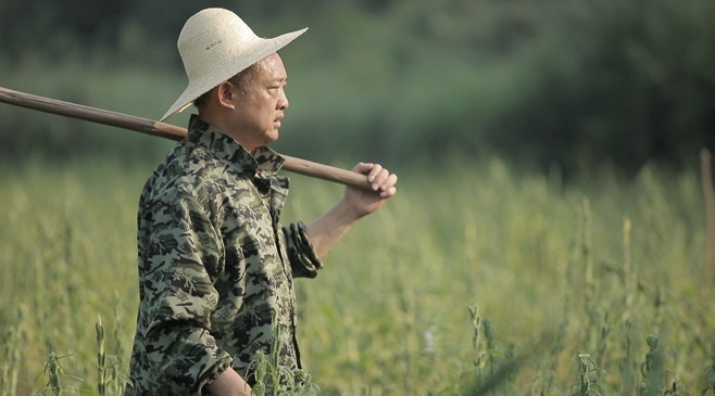 人民日报丨湖南农民父子43年接力搞科研，培育出杂交油菜新品种