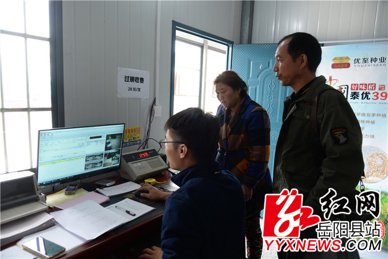 合作社与农民核对稻谷重量.JPG
