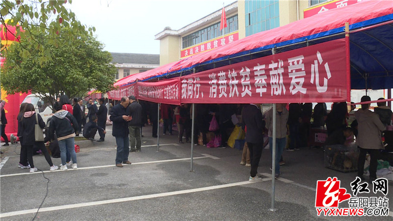 活动现场111.JPG