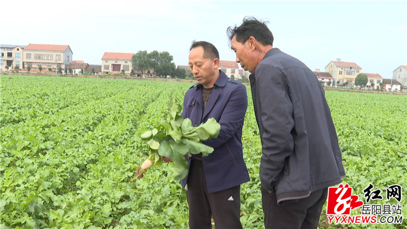 何科义与村民查看蔬菜生长情况.JPG