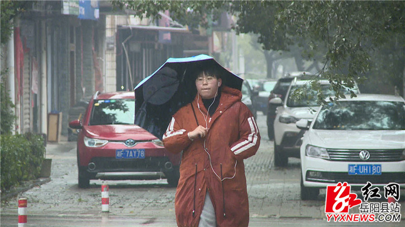 雨中行人.JPG