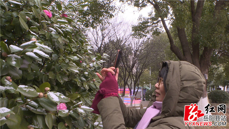 刘女士拍雪景.JPG